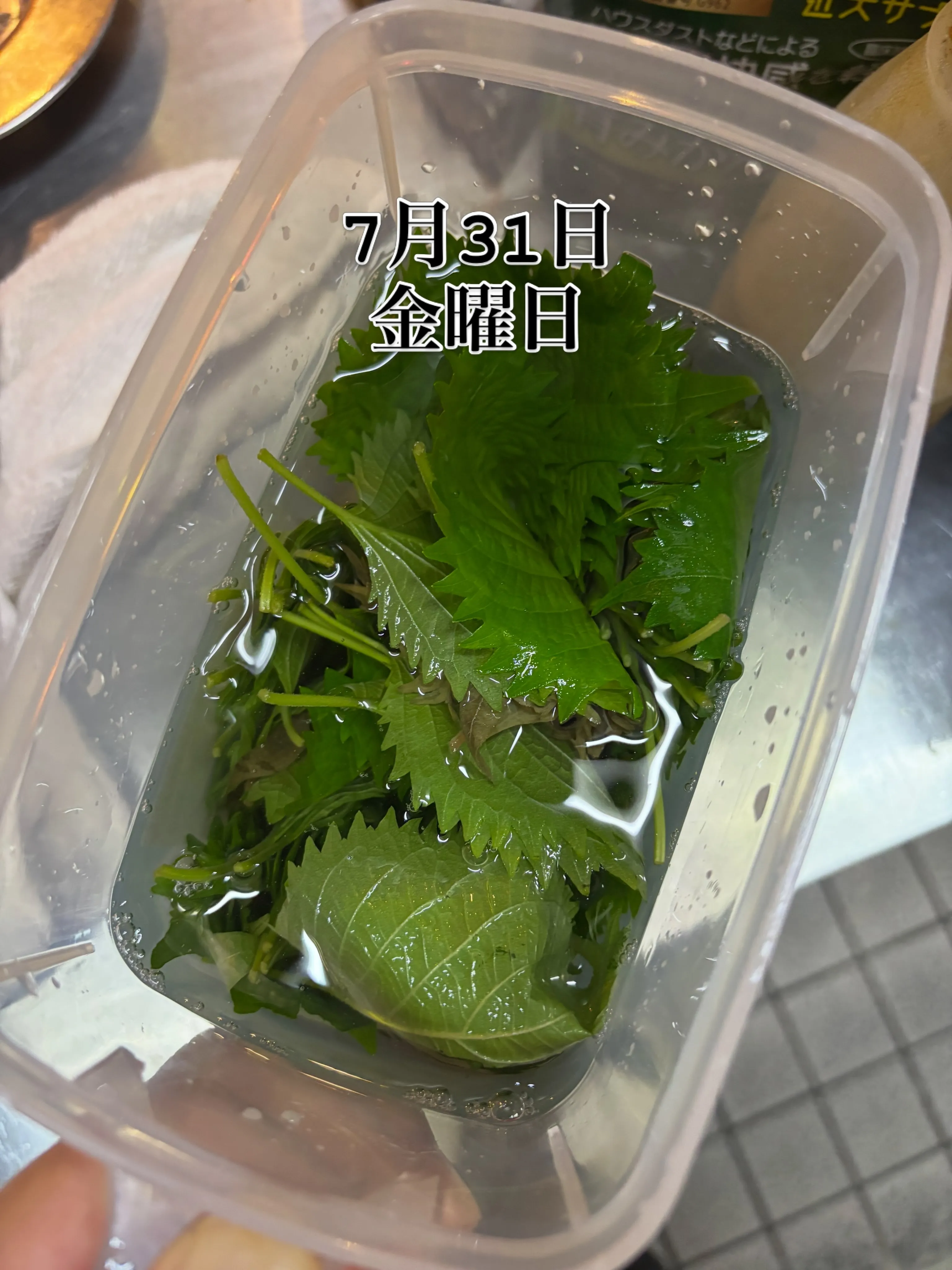 おでん屋です😎