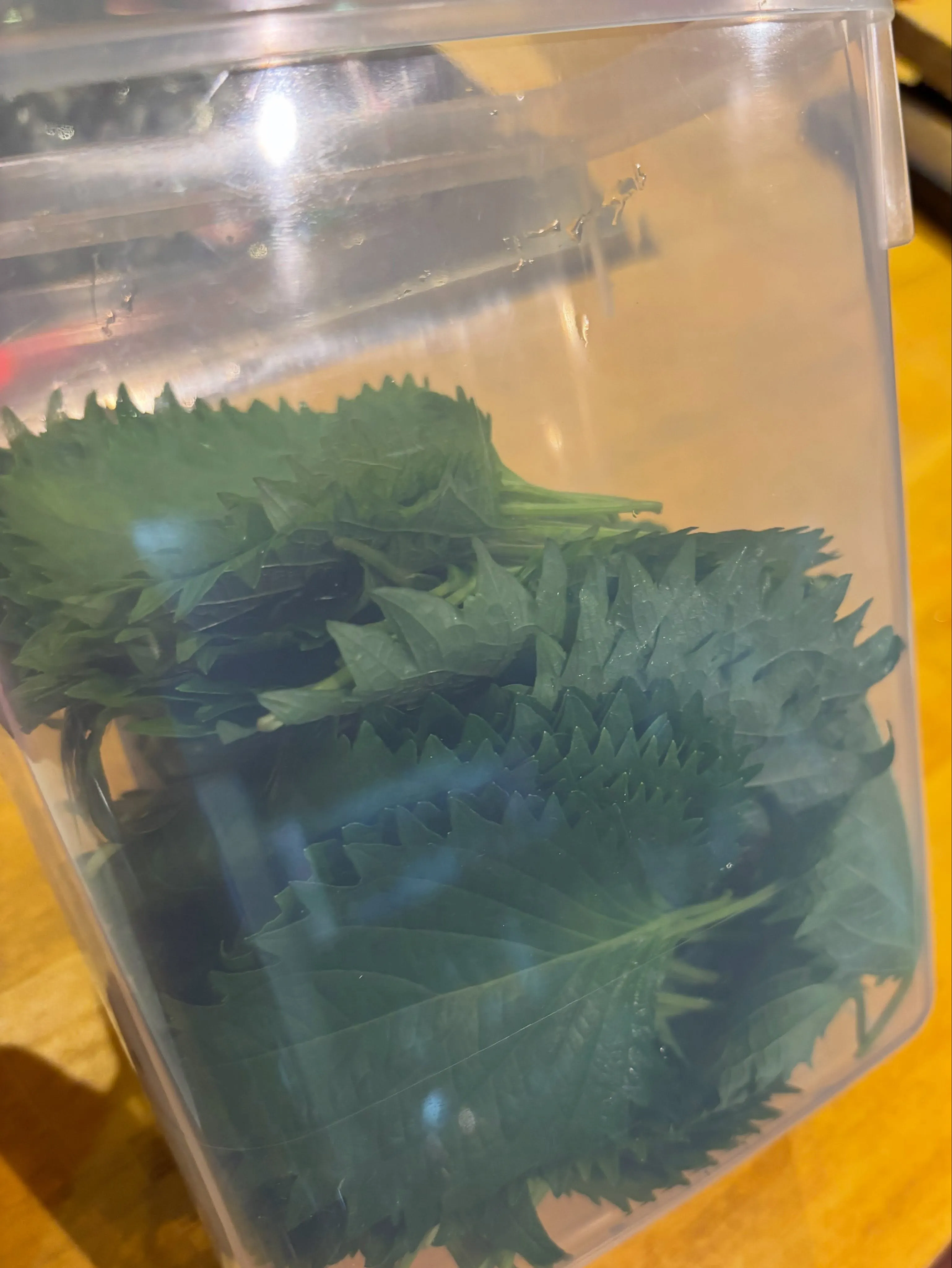 おでん屋です😎