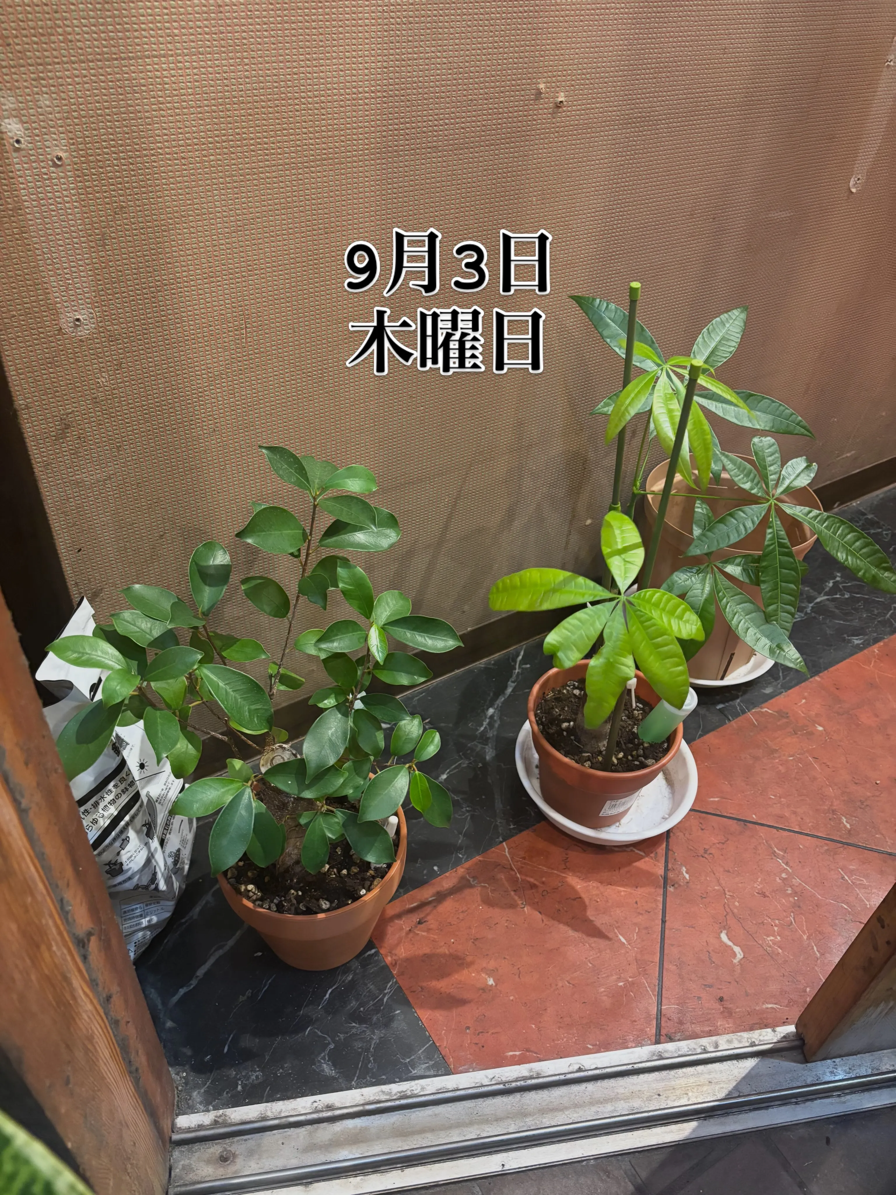 おでん屋です😎